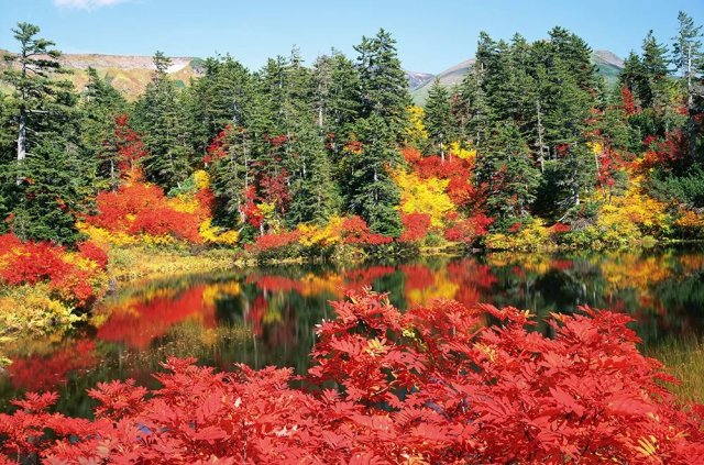 春季的北海道美不美丽 北海道季节