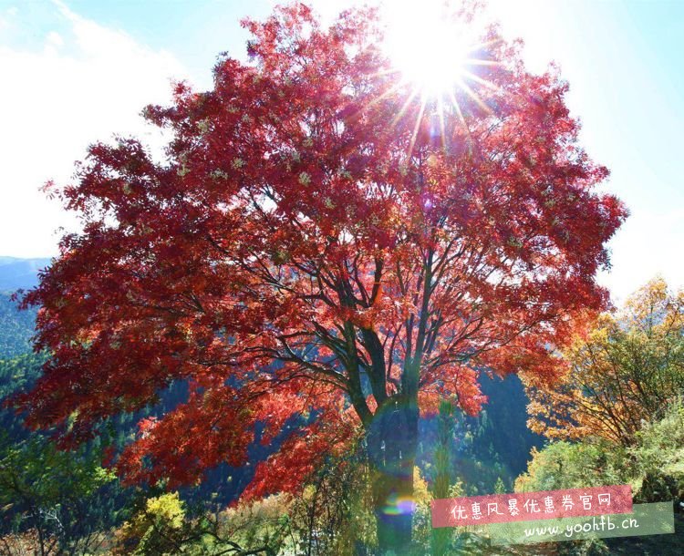 黑水达古冰川景区，欣赏它一年中最美的样子！