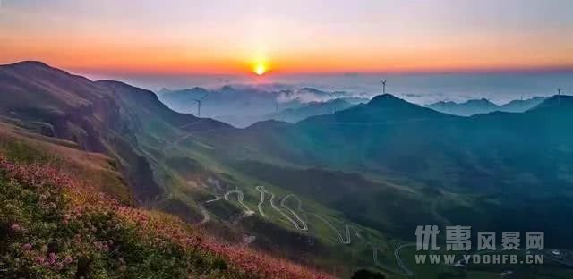 夏季避暑就去多彩贵州，毕节花海优惠活动介绍