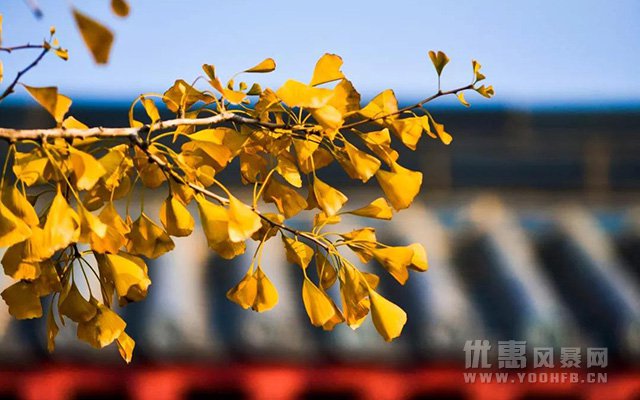 龙口南山旅游景区为全国教师推出专属优惠活动福利