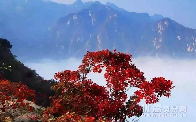 河南木札岭旅游景区为全国游客推出免门票优惠活动福利