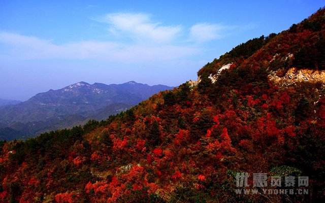 河南木札岭旅游景区为全国游客推出免门票优惠活动福利