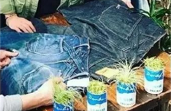 denim是什么牌子的牛仔裤(denimwear是什么牌子的牛仔裤)