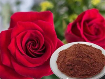 自制花瓣口红材料 用花瓣制作纯天然口红的方法
