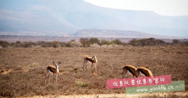 美丽又神秘的非洲博茨瓦纳