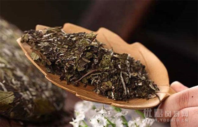 适合冬季煮饮的四种茶