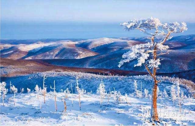 大兴安岭的冬天，冰雪王国里的童话！