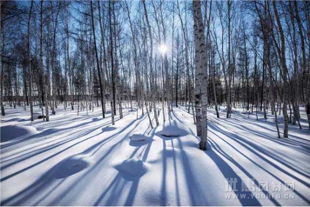 大兴安岭的冬天，冰雪王国里的童话！