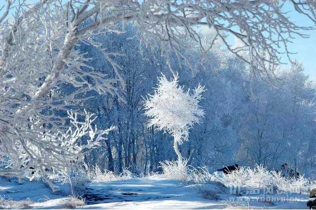 大兴安岭的冬天，冰雪王国里的童话！