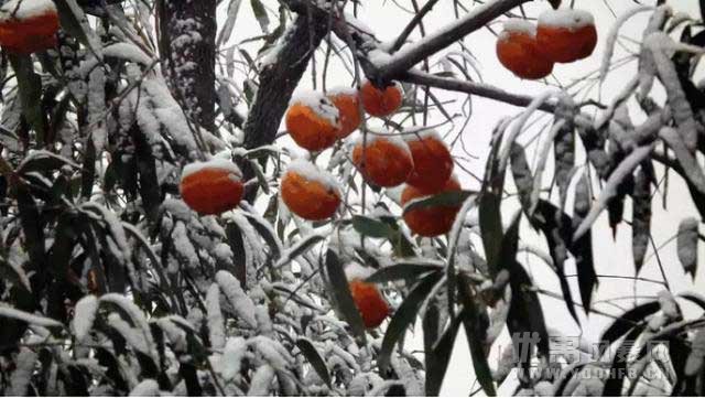 大兴安岭的冬天，冰雪王国里的童话！