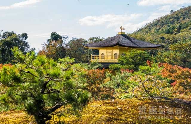 从湖边漫步到山丘，景色换了一种风格