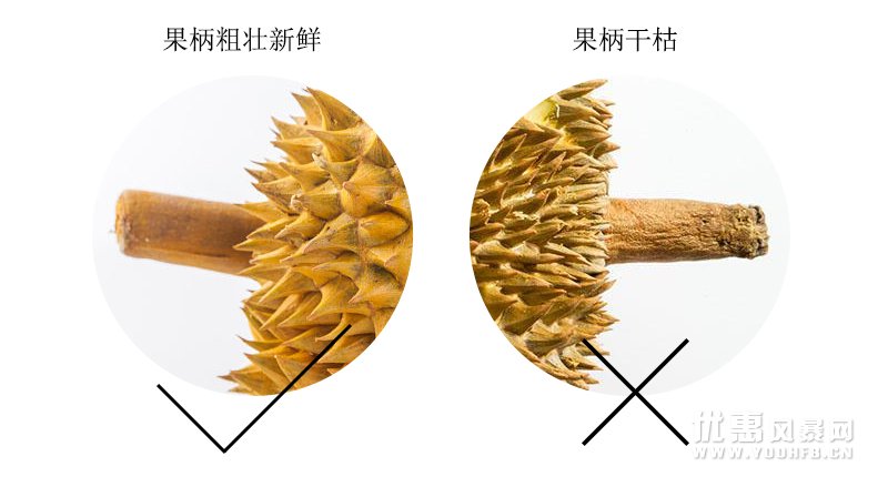 都爱吃榴莲，榴莲应该这么挑？