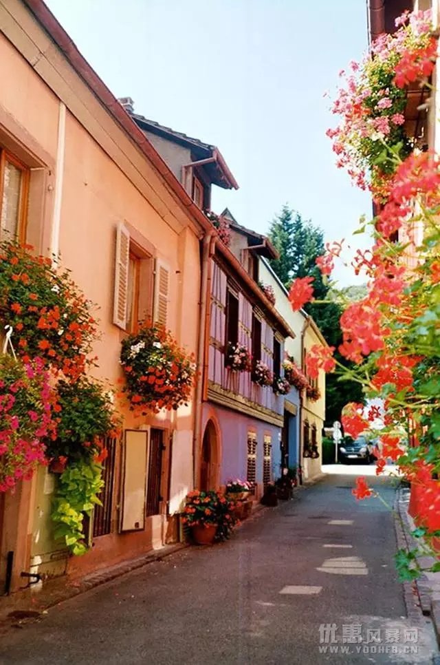 世上最美的鲜花小镇，欢迎到小镇来旅游！