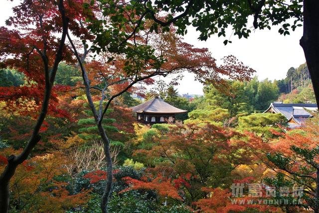 日本最古风城市，满足你对唐朝的所有幻想