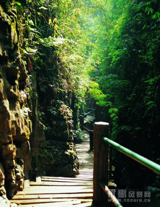 北碚西旅会推出三条旅游线路和系列优惠活动