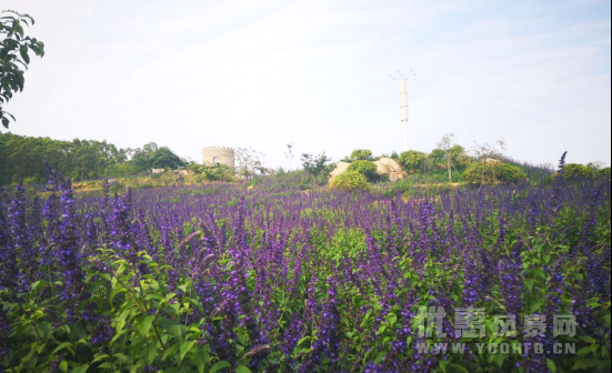 东山中驰欢乐谷 清新旅游互动优惠活动推介会