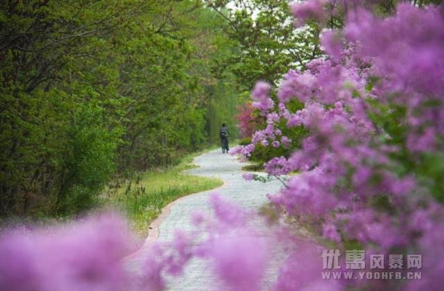 高考旅游季 宝鸡这些地方为学子们开启景区优惠活动