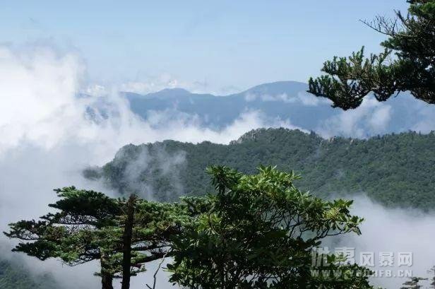 高考旅游季 宝鸡这些地方为学子们开启景区优惠活动