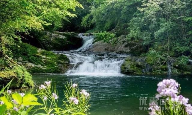 高考旅游季 宝鸡这些地方为学子们开启景区优惠活动