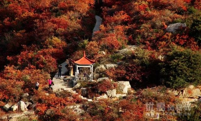 巩义各大景区暑期优惠活动福利