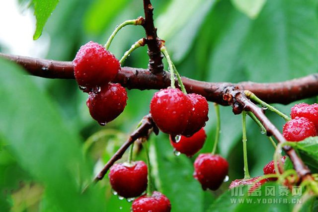 缤纷盛夏·清爽密云优惠活动