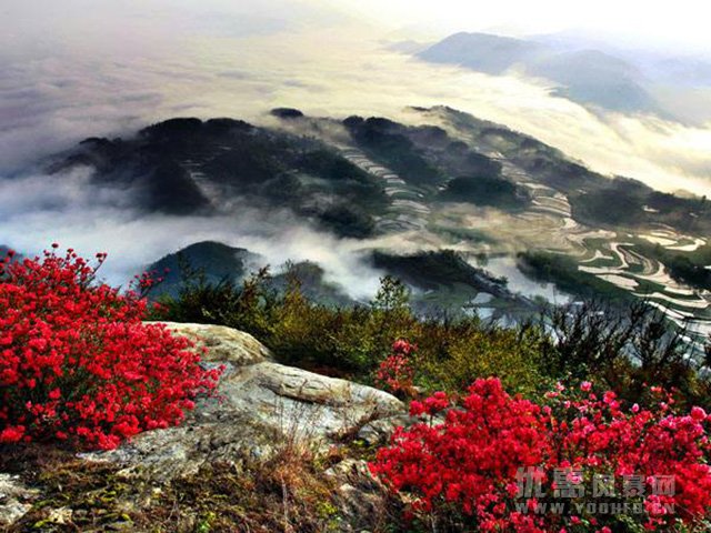 罗田天堂寨避暑旅游优惠活动