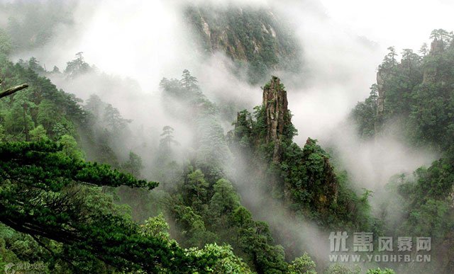 湖南旅游节 莽山森林公园将推出系列优惠活动