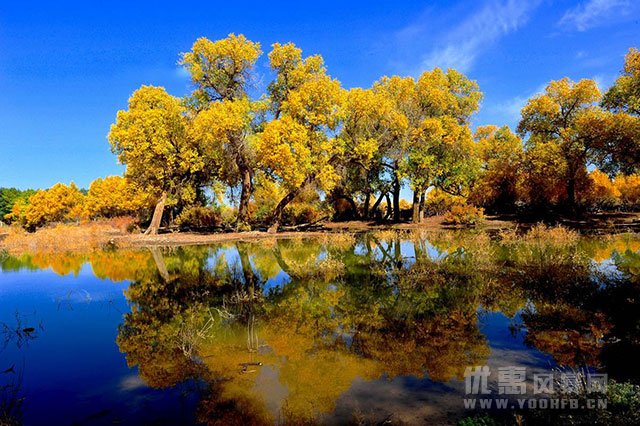 价格优惠活动多 广东旅行社推出新疆秋冬旅游优惠活动