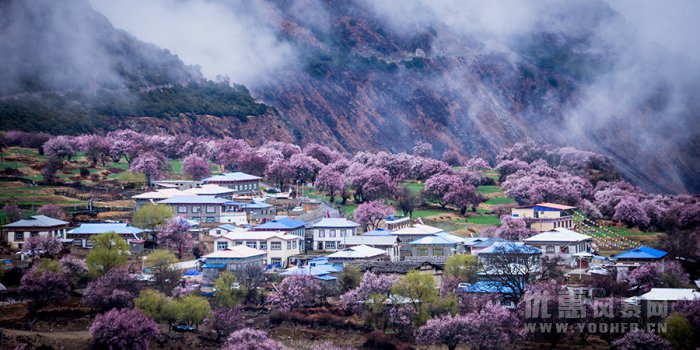 上海-拉萨+布达拉宫+大昭寺+巴松措+桃花沟旅游