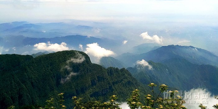 优惠网分享成都-四川峨眉山+乐山优惠活动