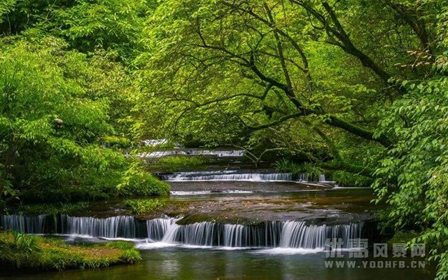 邛崃推出“你消费 我优惠”文旅一卡通优惠活动